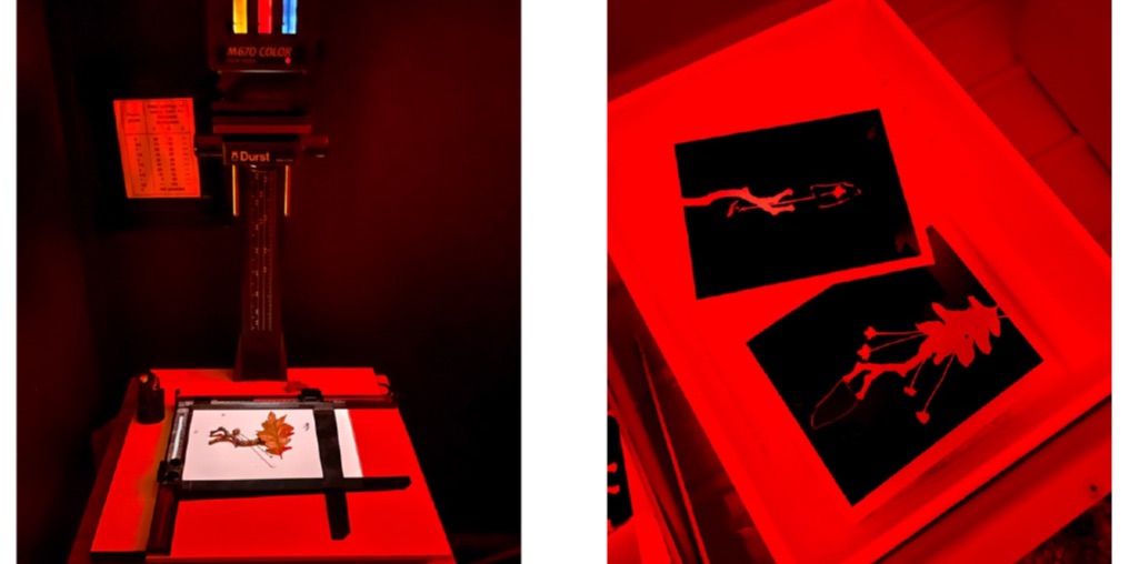 Photogram Printmaking Workshop