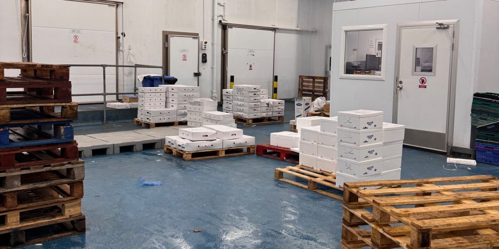 Blank Canvas Presents: Amy Grogan’s Exhibition Opening: The Factory Tour